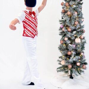 Boys Candy Cane Costume (Weissman)